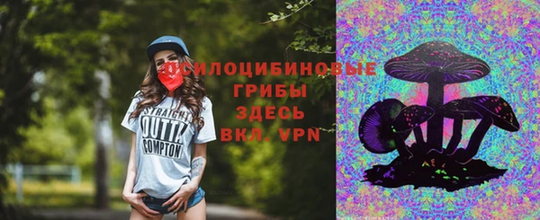 Альфа ПВП Алзамай