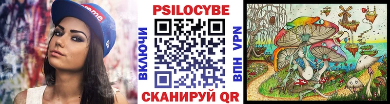 Галлюциногенные грибы Psilocybe  продажа наркотиков  Камбарка 